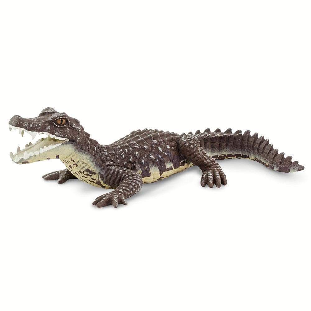 Caiman - Safari Ltd®