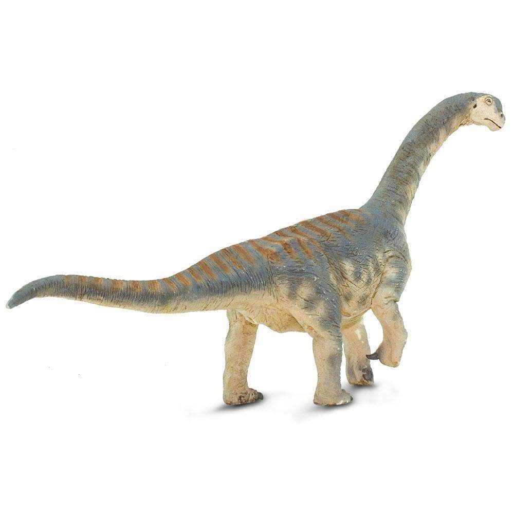 Camarasaurus Toy | Dinosaur Toys | Safari Ltd.