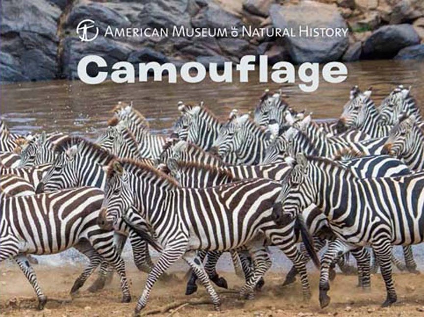 Camouflage Book - Safari Ltd®