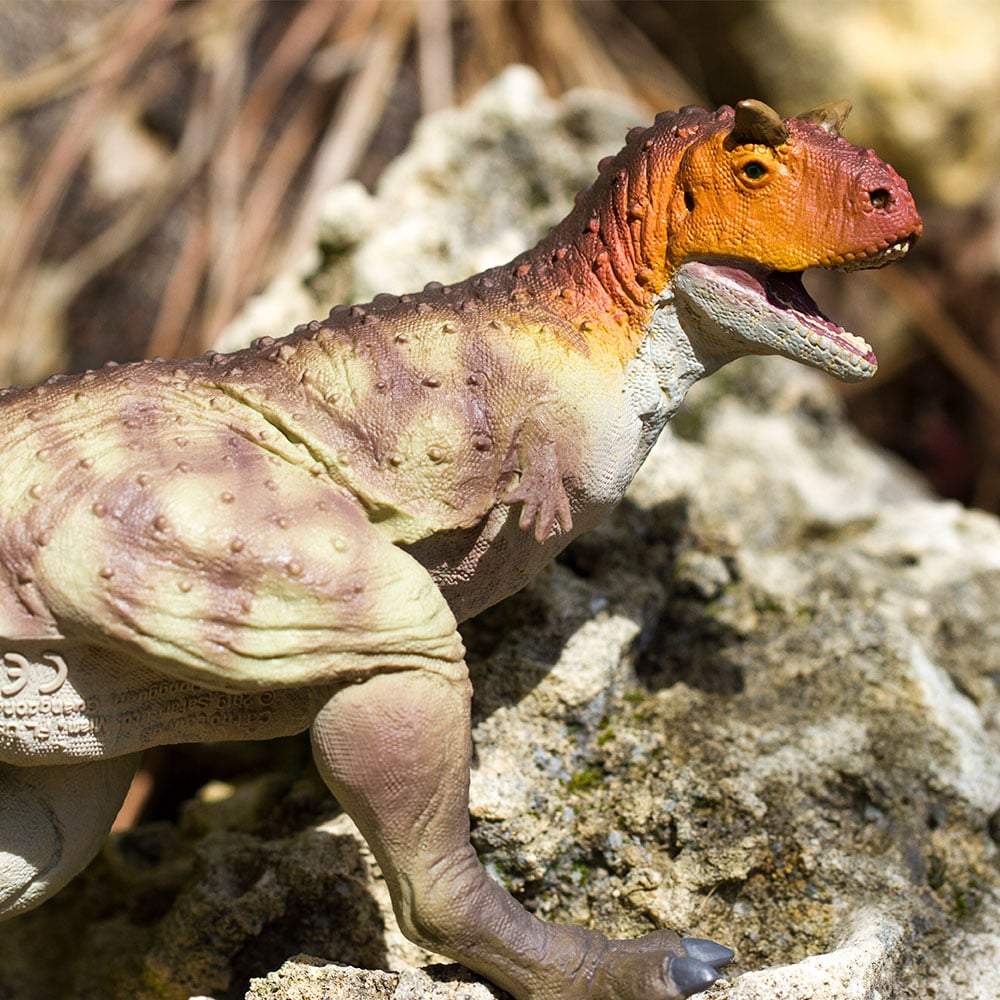 Carnotaurus Toy | Dinosaur Toys | Safari Ltd.