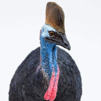 Cassowary Toy | Wildlife Animal Toys | Safari Ltd.