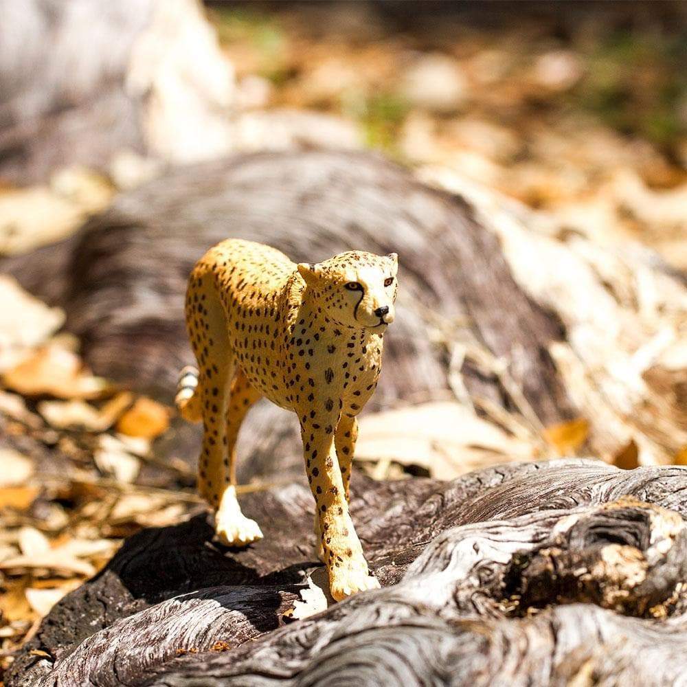 Cheetah Toy | Wildlife Animal Toys | Safari Ltd.