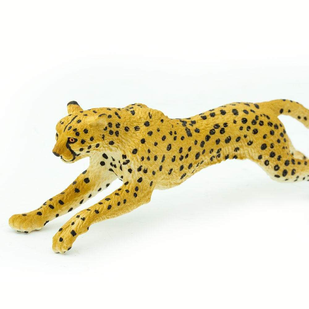 Cheetah Toy | Wildlife Animal Toys | Safari Ltd.