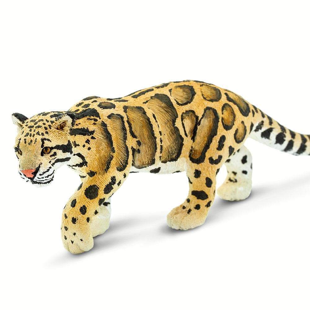 Clouded Leopard - Safari Ltd®