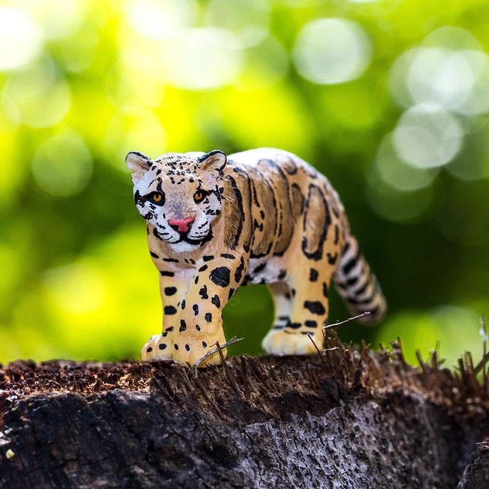 Clouded Leopard - Safari Ltd®