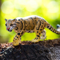 Clouded Leopard - Safari Ltd®