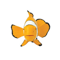 Clown Anemonefish - Safari Ltd®