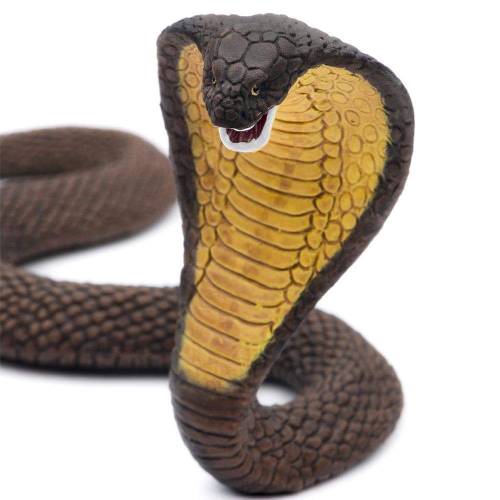 Cobra Toy | Wildlife Animal Toys | Safari Ltd.