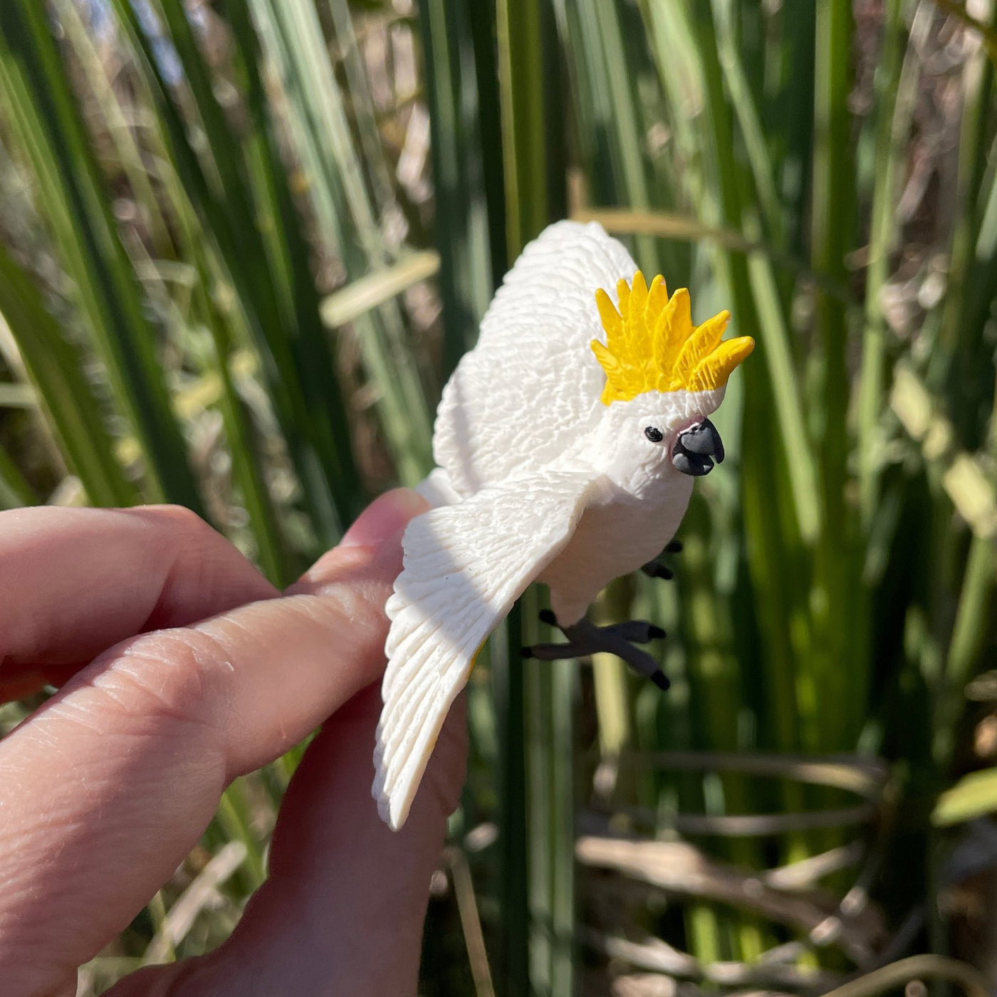 Cockatoo Toy - Safari Ltd®