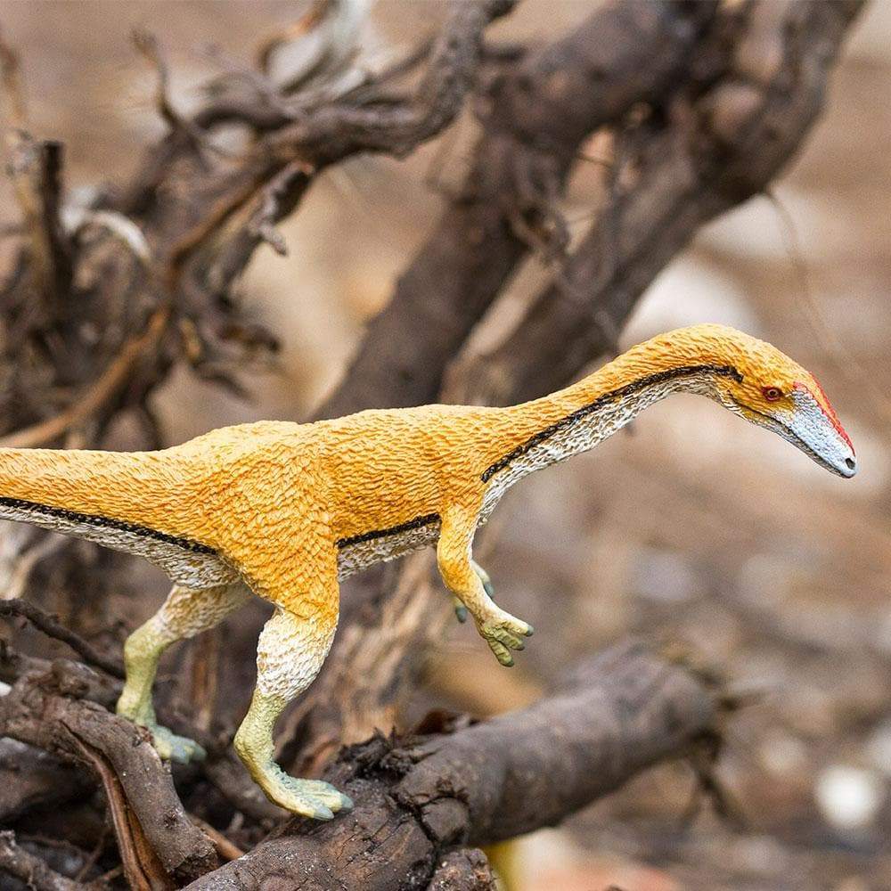 Coelophysis Toy | Dinosaur Toys | Safari Ltd.