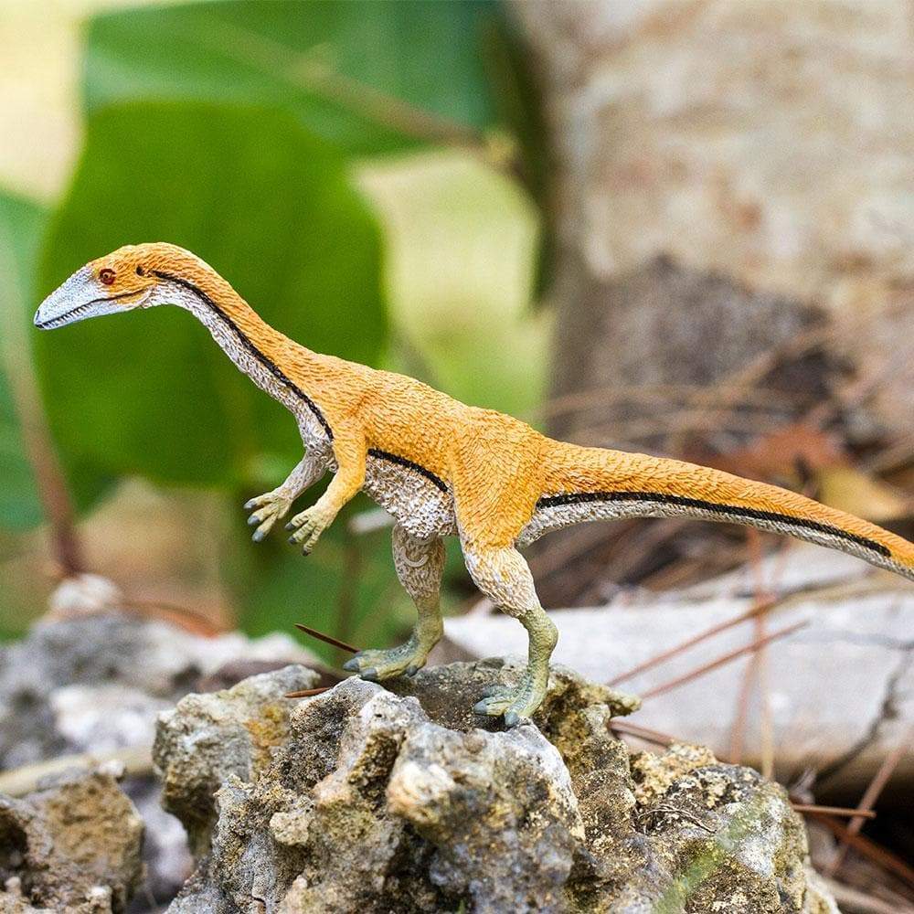 Coelophysis Toy | Dinosaur Toys | Safari Ltd.