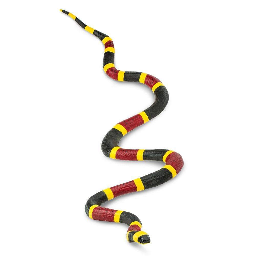 Coral Snake - Safari Ltd®