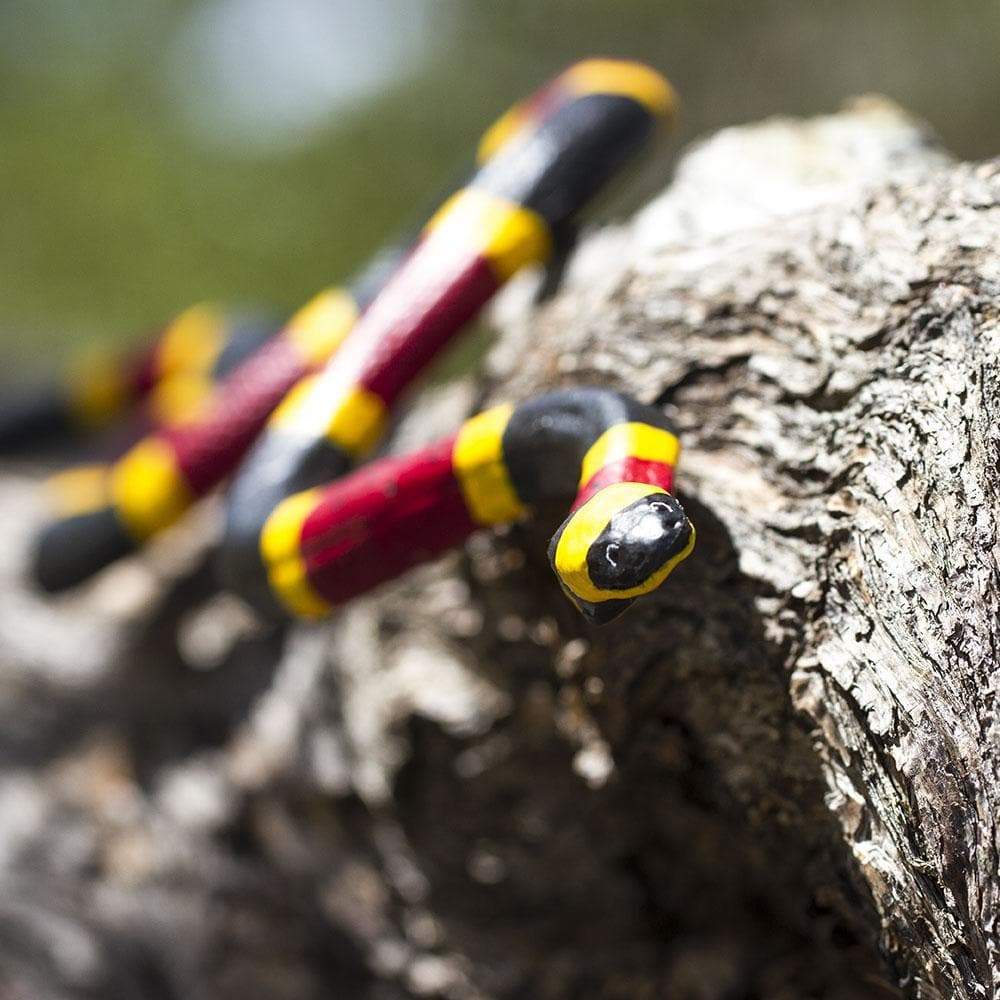 Coral Snake - Safari Ltd®