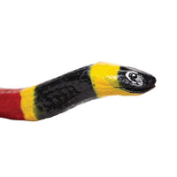 Coral Snake - Safari Ltd®