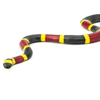 Coral Snake - Safari Ltd®