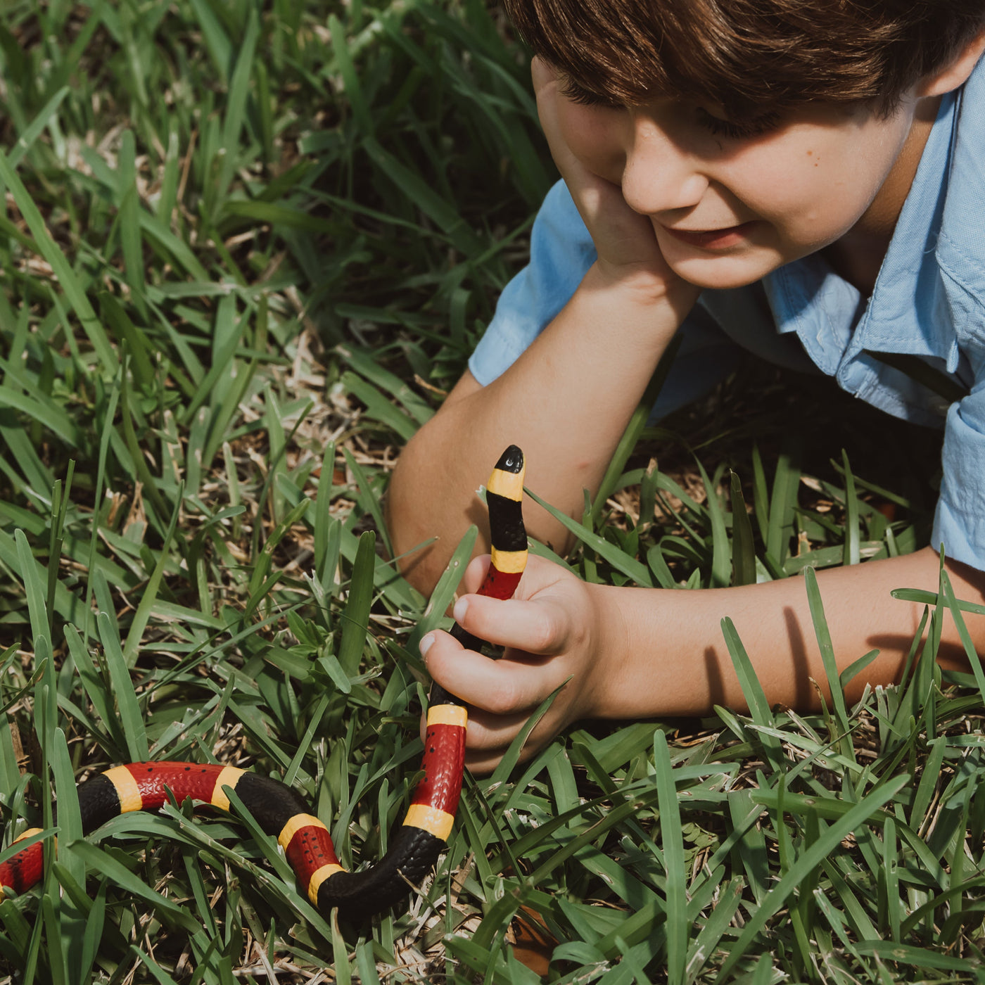 Coral Snake Toy - Safari Ltd®