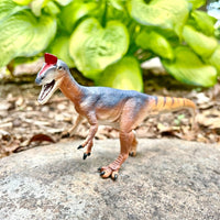 Cryolophosaurus Toy Dinosaur Figure - Safari Ltd®