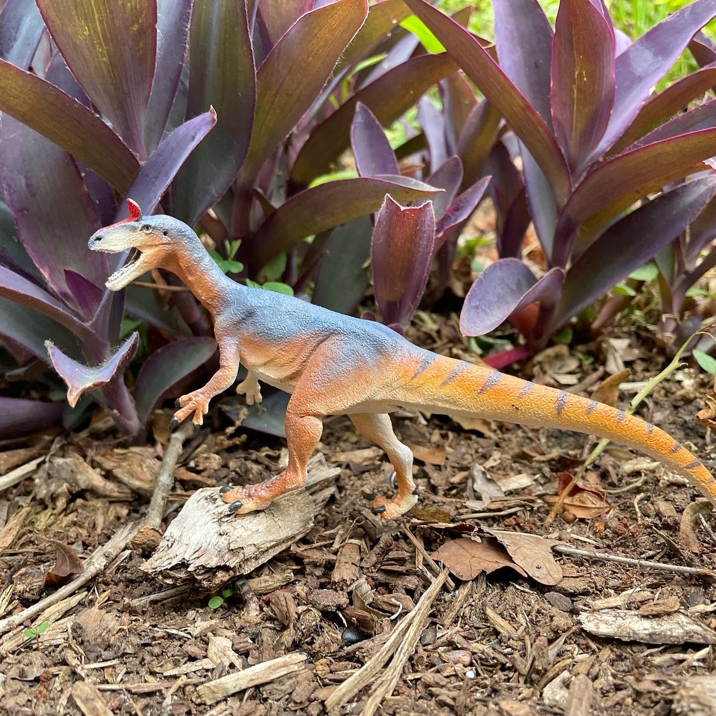 Cryolophosaurus Toy Dinosaur Figure - Safari Ltd®