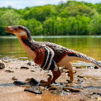 Deinonychus Toy - Safari Ltd®