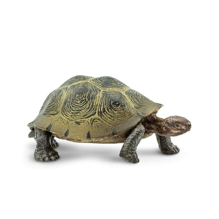 Desert Tortoise Toy | Wildlife Animal Toys | Safari Ltd.