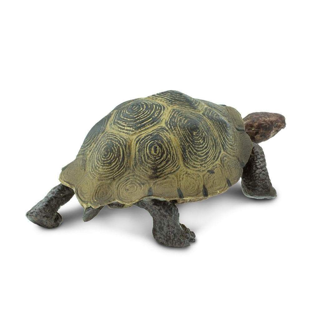 Desert Tortoise Toy | Wildlife Animal Toys | Safari Ltd.