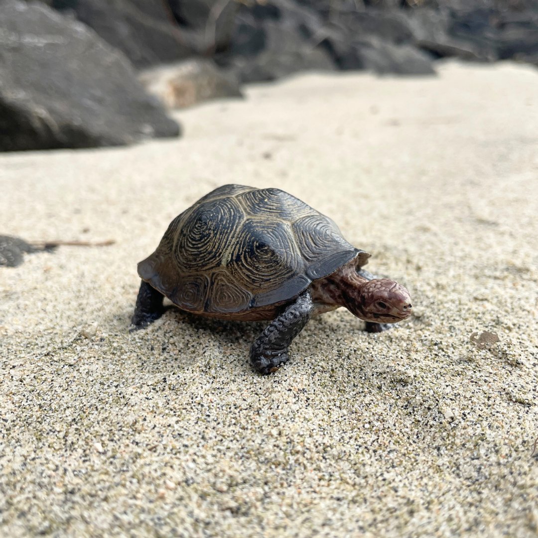 Desert Tortoise Toy - Safari Ltd®