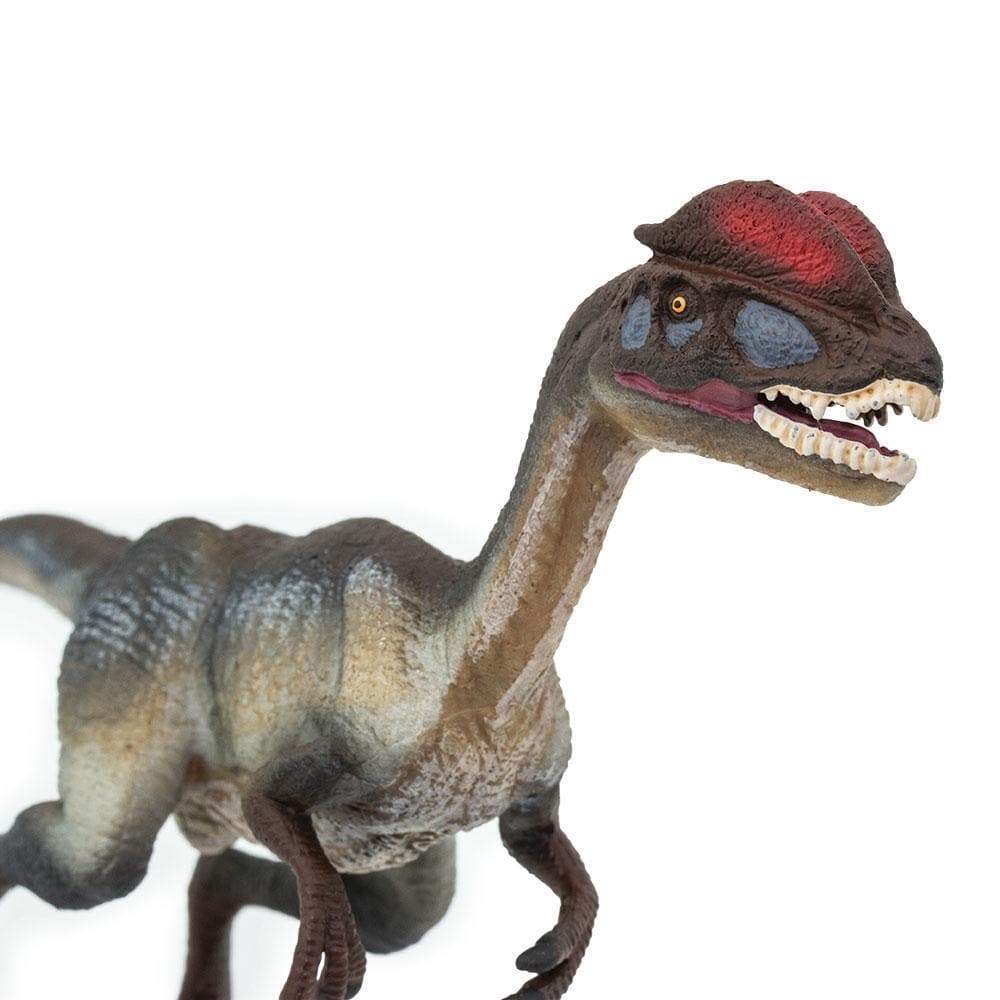 Dilophosaurus Toy | Dinosaur Toys | Safari Ltd.