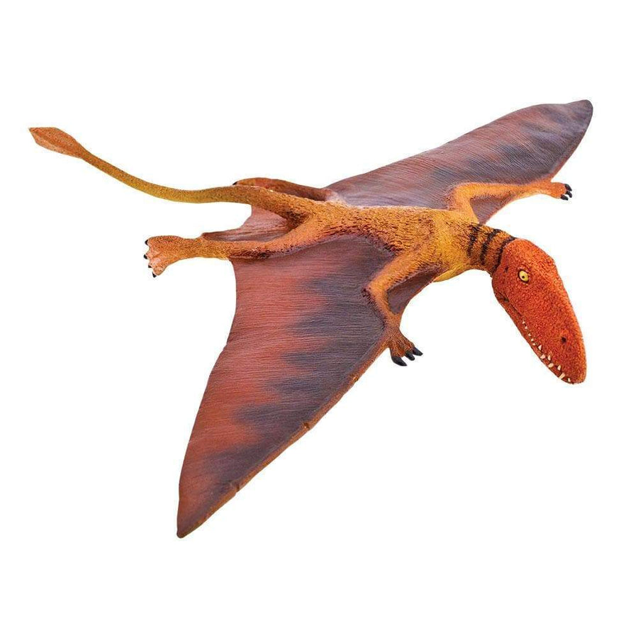 Dimorphodon Toy | Dinosaur Toys | Safari Ltd.