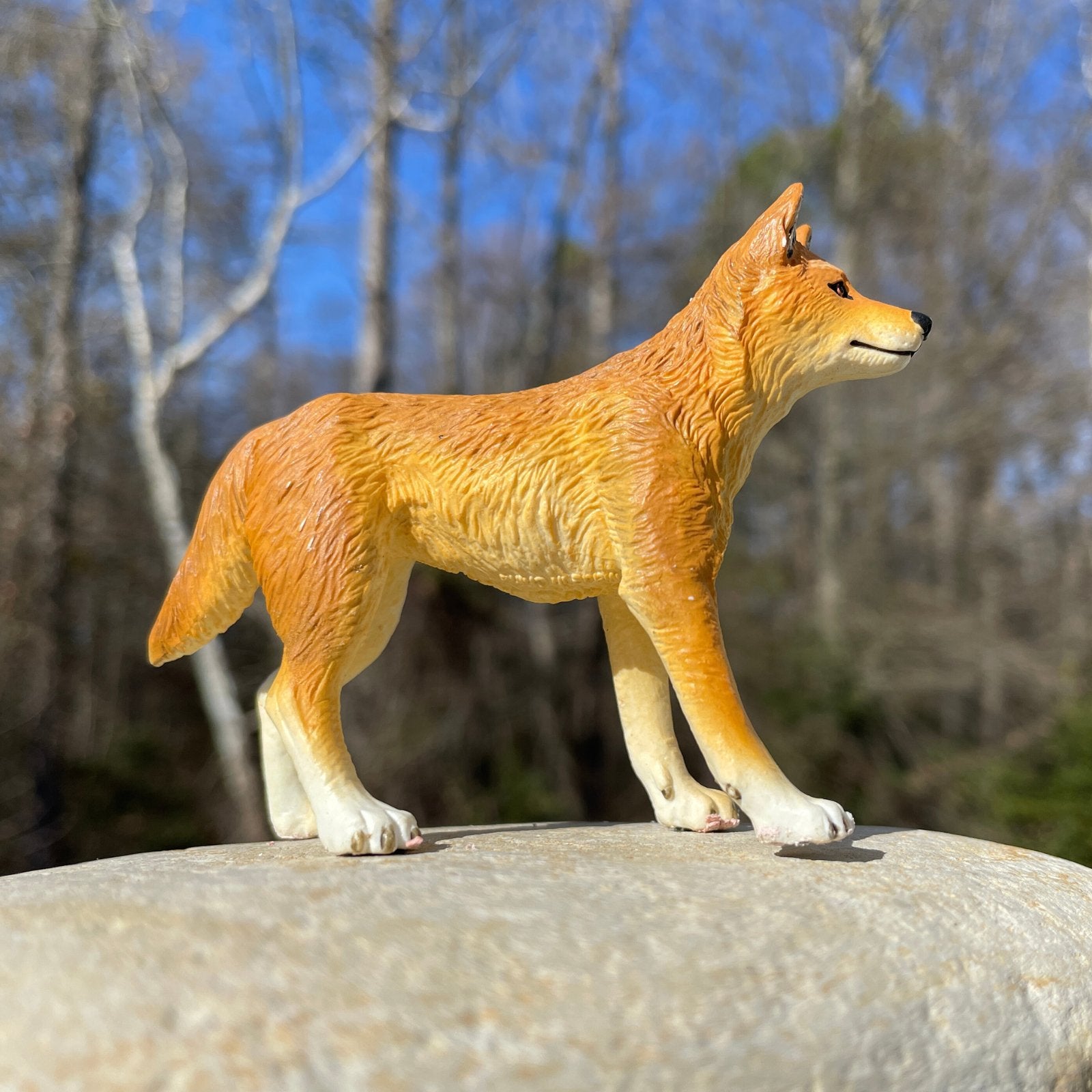 Dingo Toy - Safari Ltd®