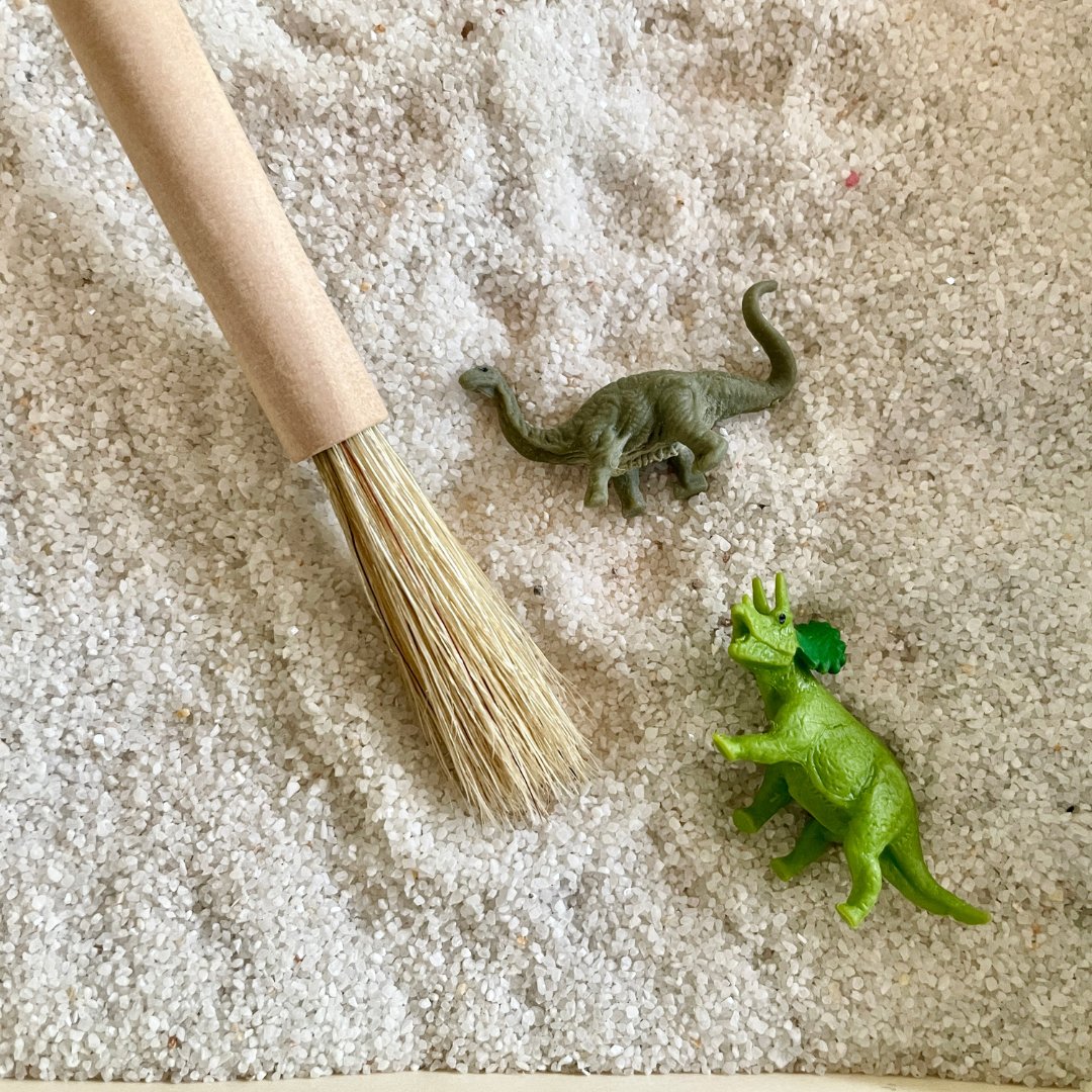 Dino Fun Pack Toy - Safari Ltd®