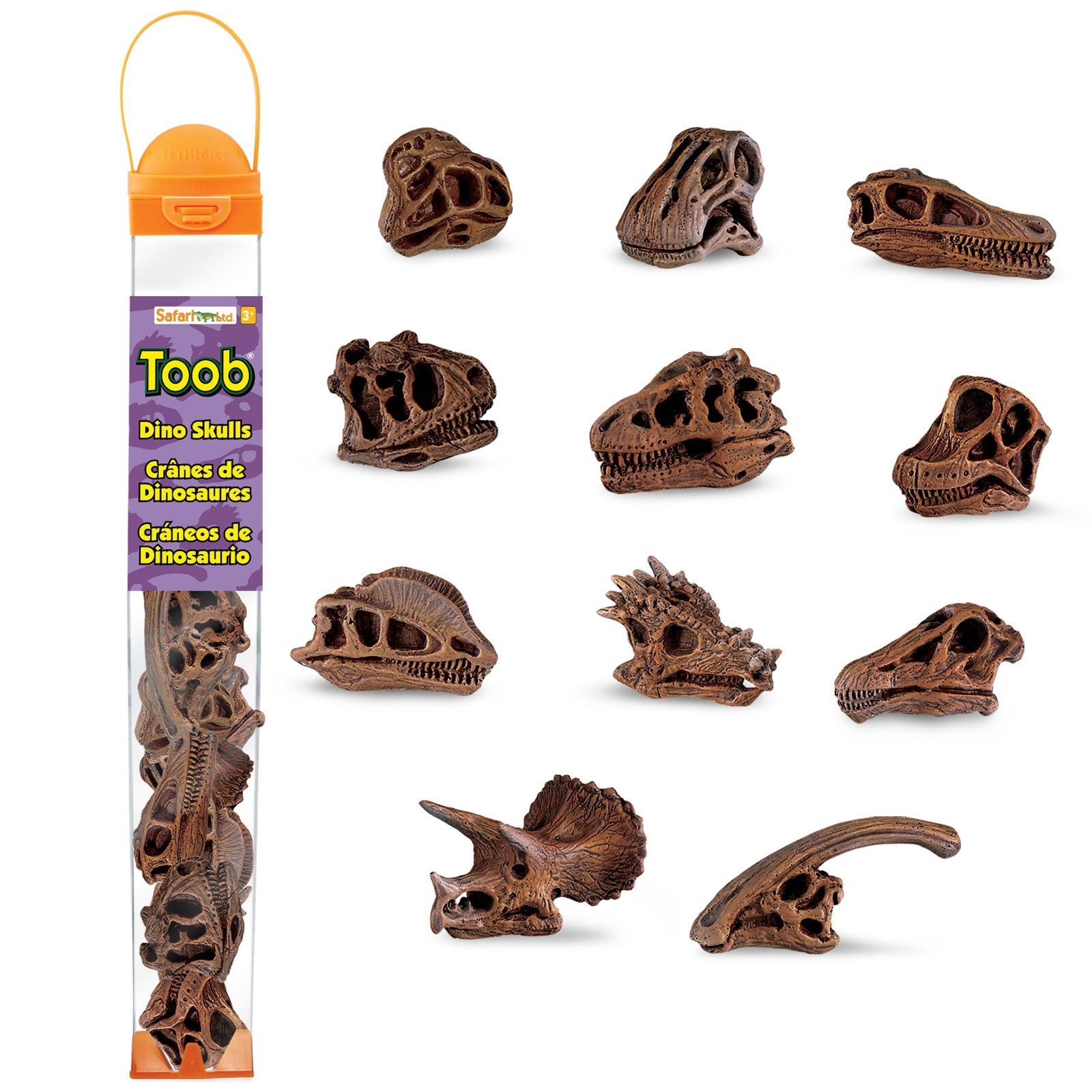 Dinosaur Skulls TOOB® Toy - Safari Ltd®