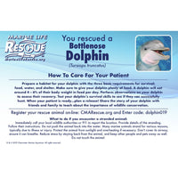 Dolphin in Rescue Stretcher - Safari Ltd®