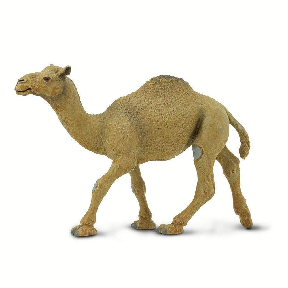 Dromedary Camel Toy | Wildlife Animal Toys | Safari Ltd.