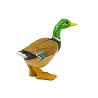 Duck - Safari Ltd®