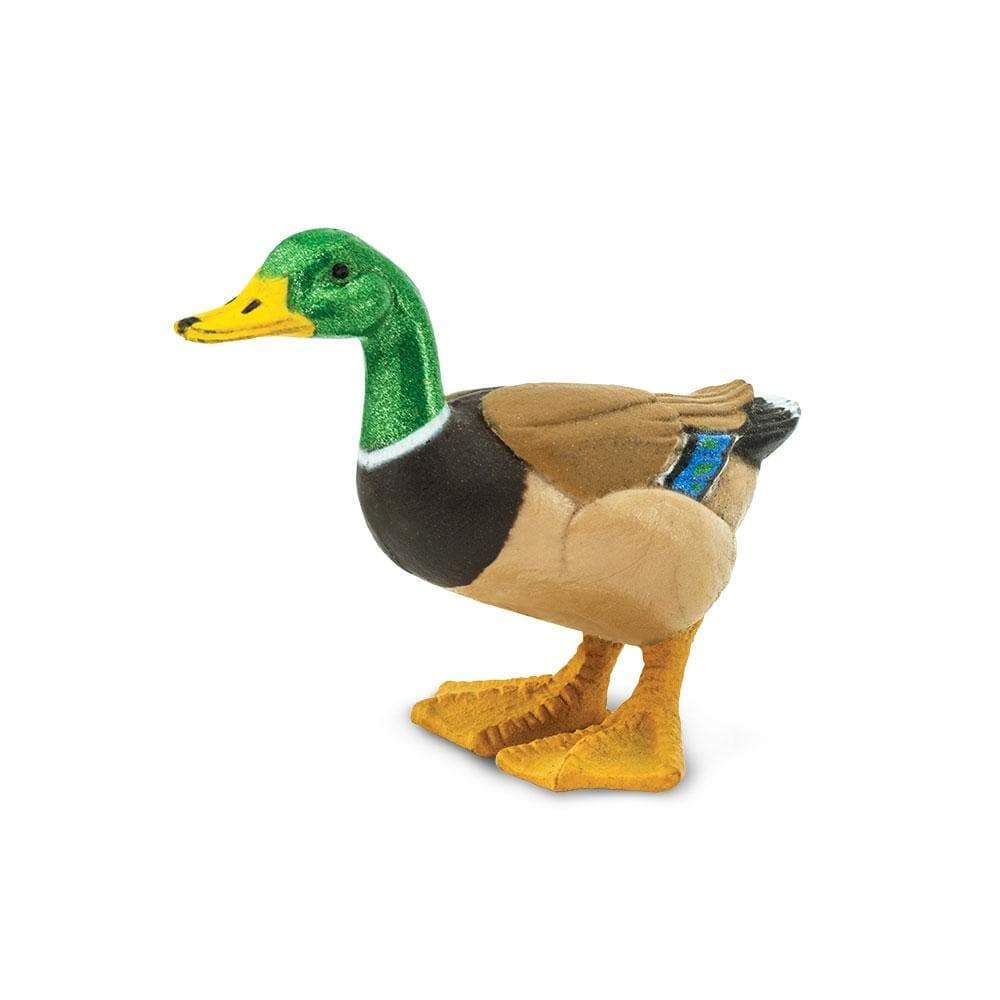 Duck - Safari Ltd®