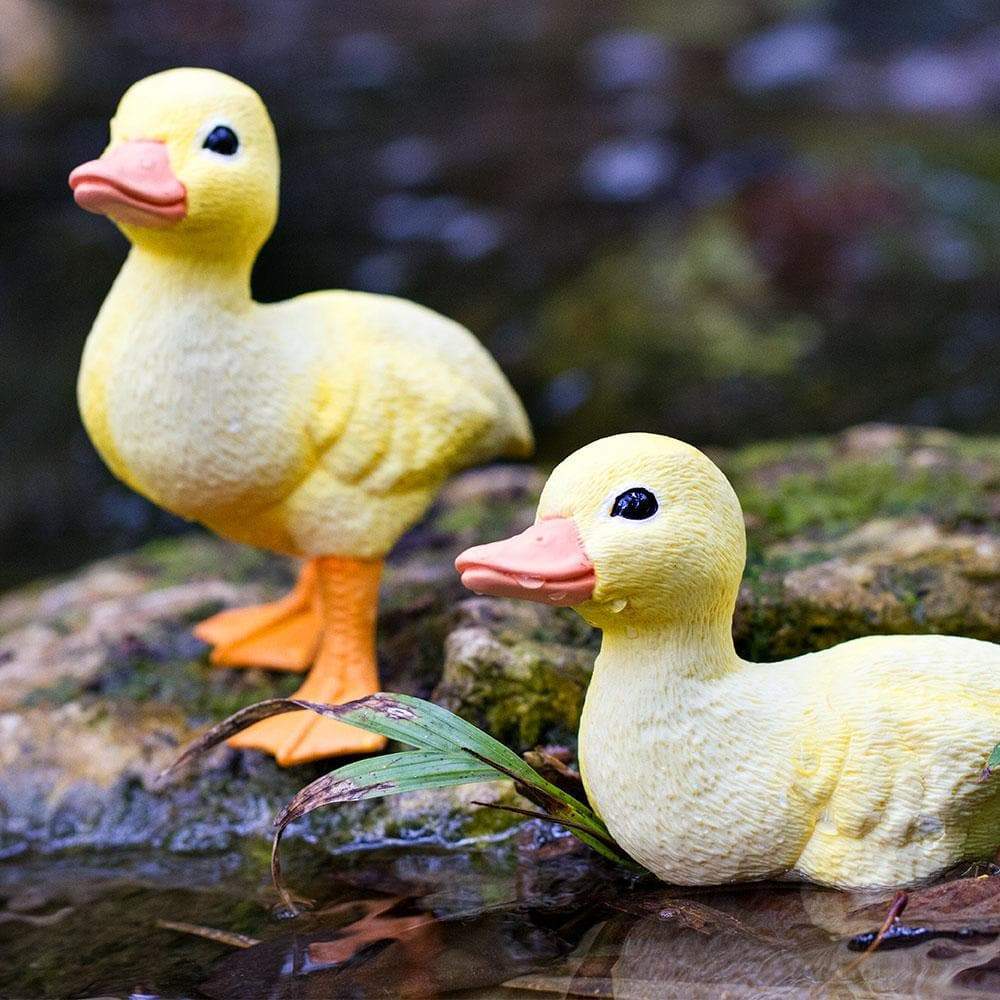 Duckling - Safari Ltd®