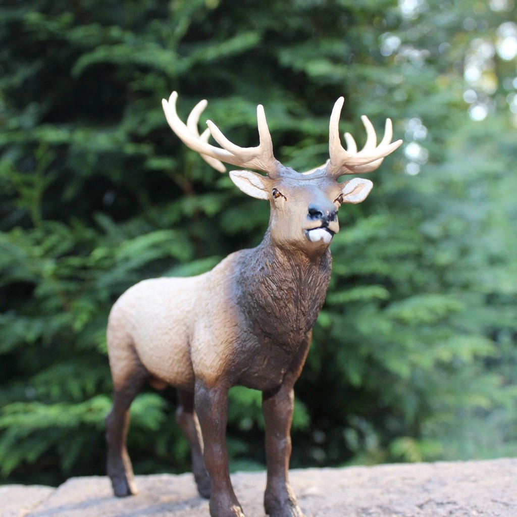 Elk Toy Figure - Safari Ltd®