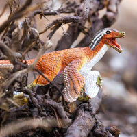 Feathered Velociraptor Toy | Dinosaur Toys | Safari Ltd.