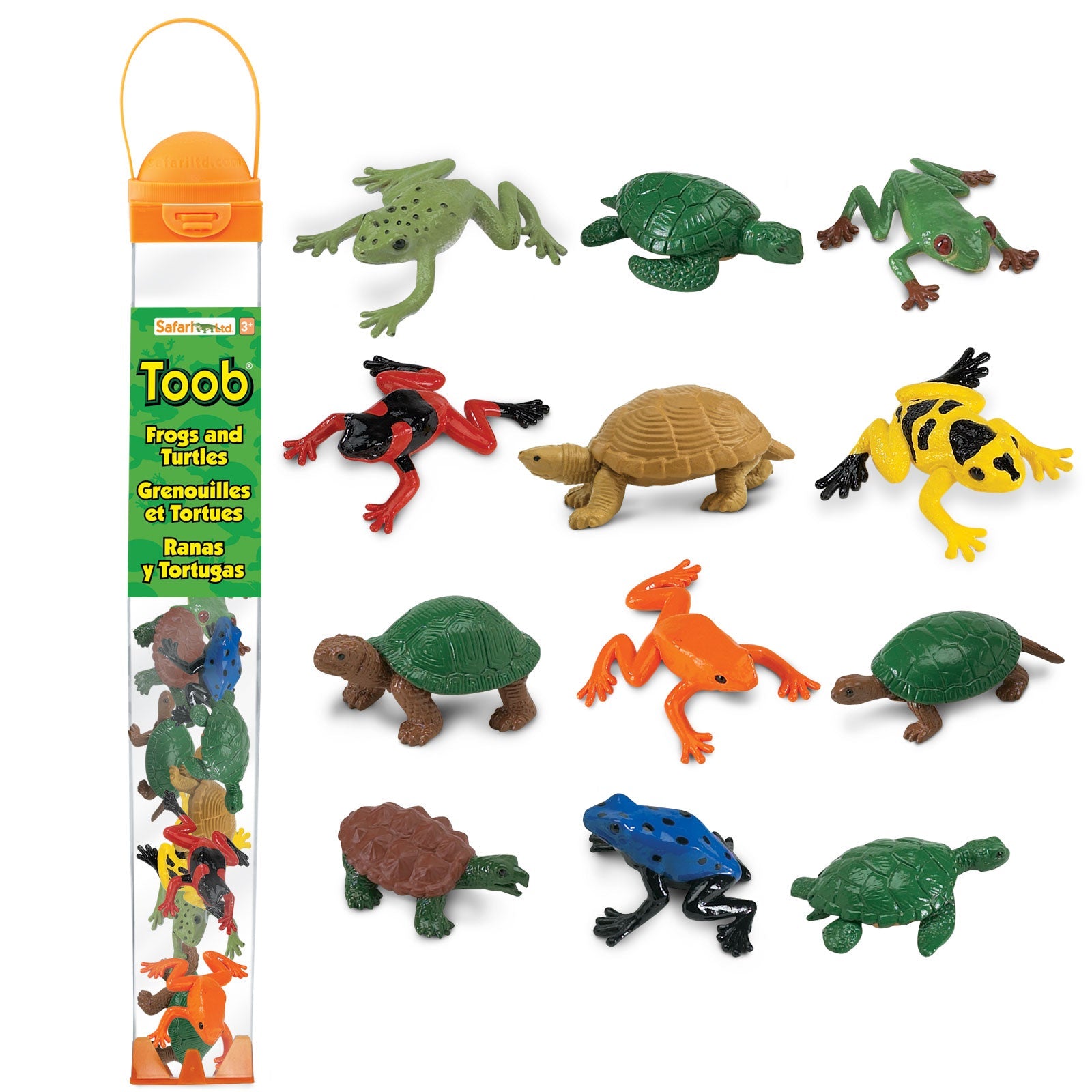 Frogs & Turtles TOOB® - Safari Ltd®