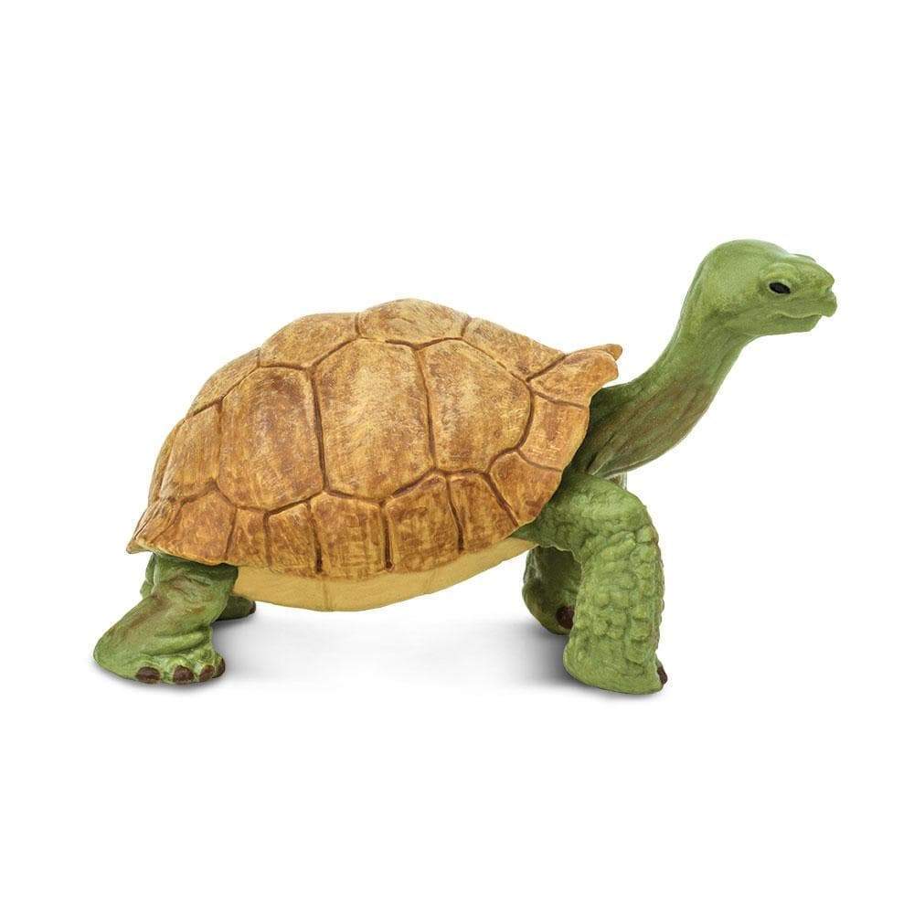 Giant Tortoise Toy | Wildlife Animal Toys | Safari Ltd.