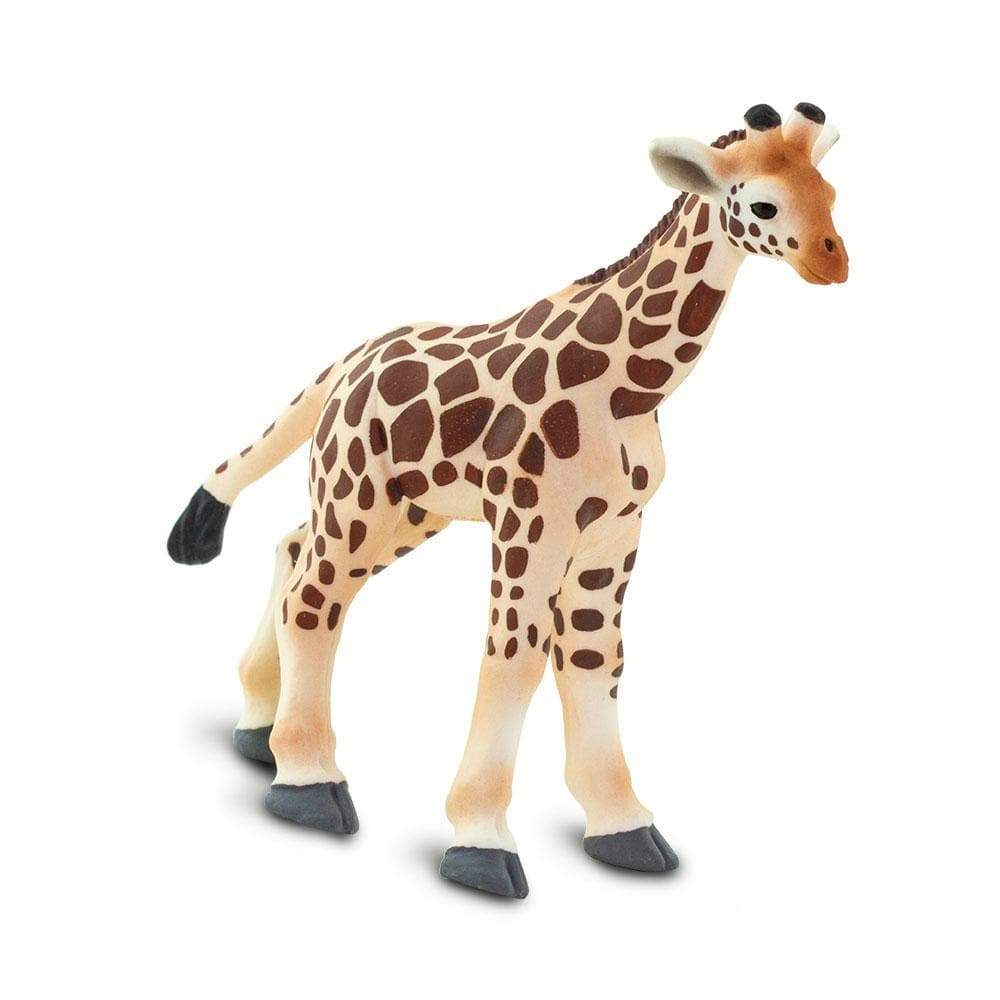 Giraffe Baby - Safari Ltd®