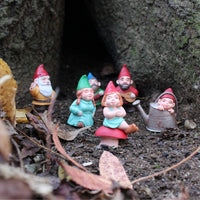 Gnome Family Designer TOOB® - Safari Ltd®