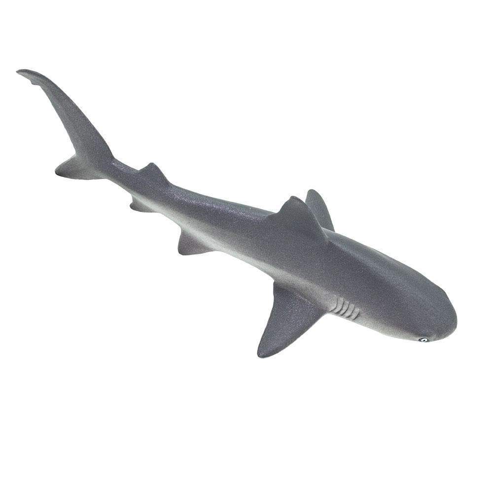 Gray Reef Shark Toy - Sea Life Toys by Safari Ltd.