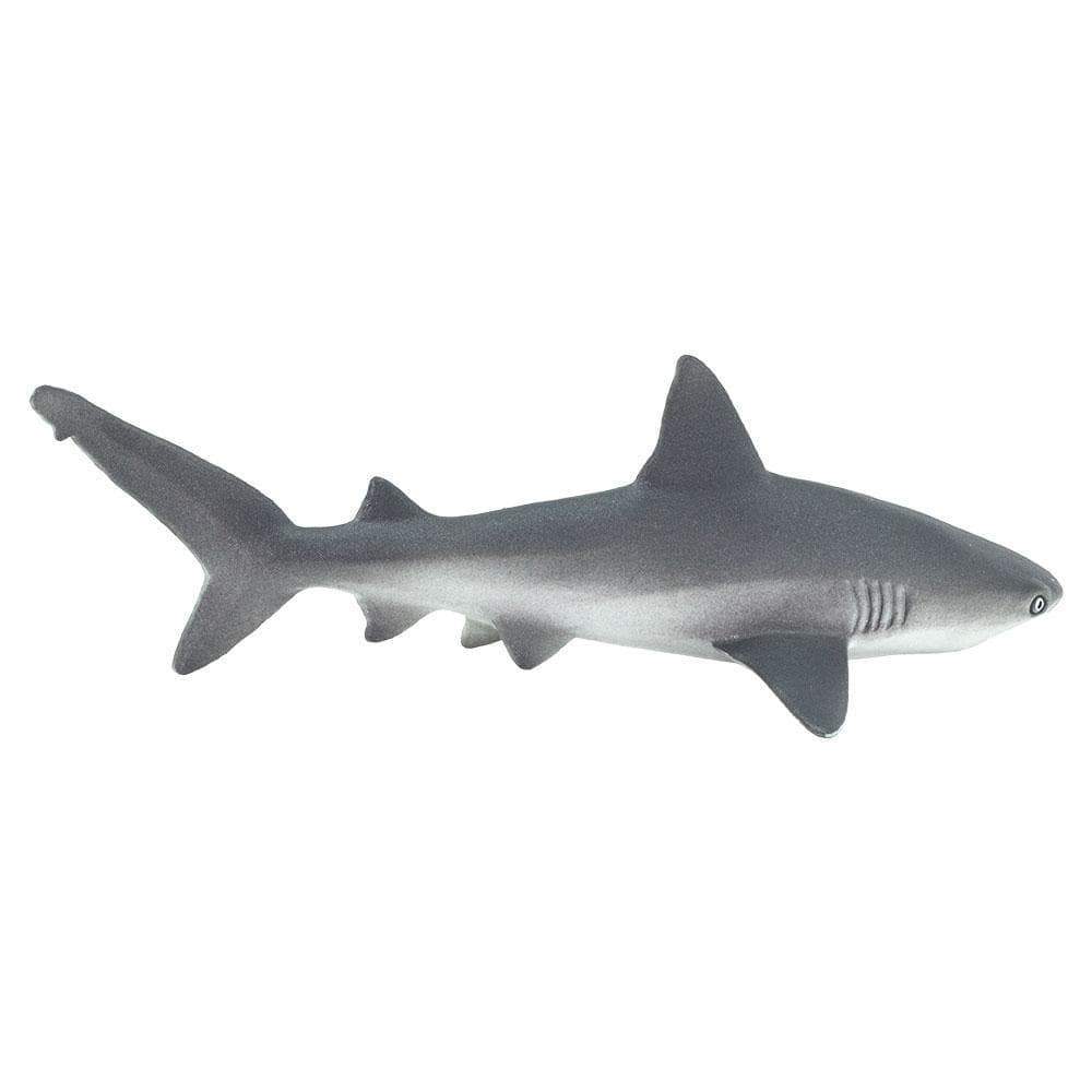 Gray Reef Shark Toy - Sea Life Toys by Safari Ltd.