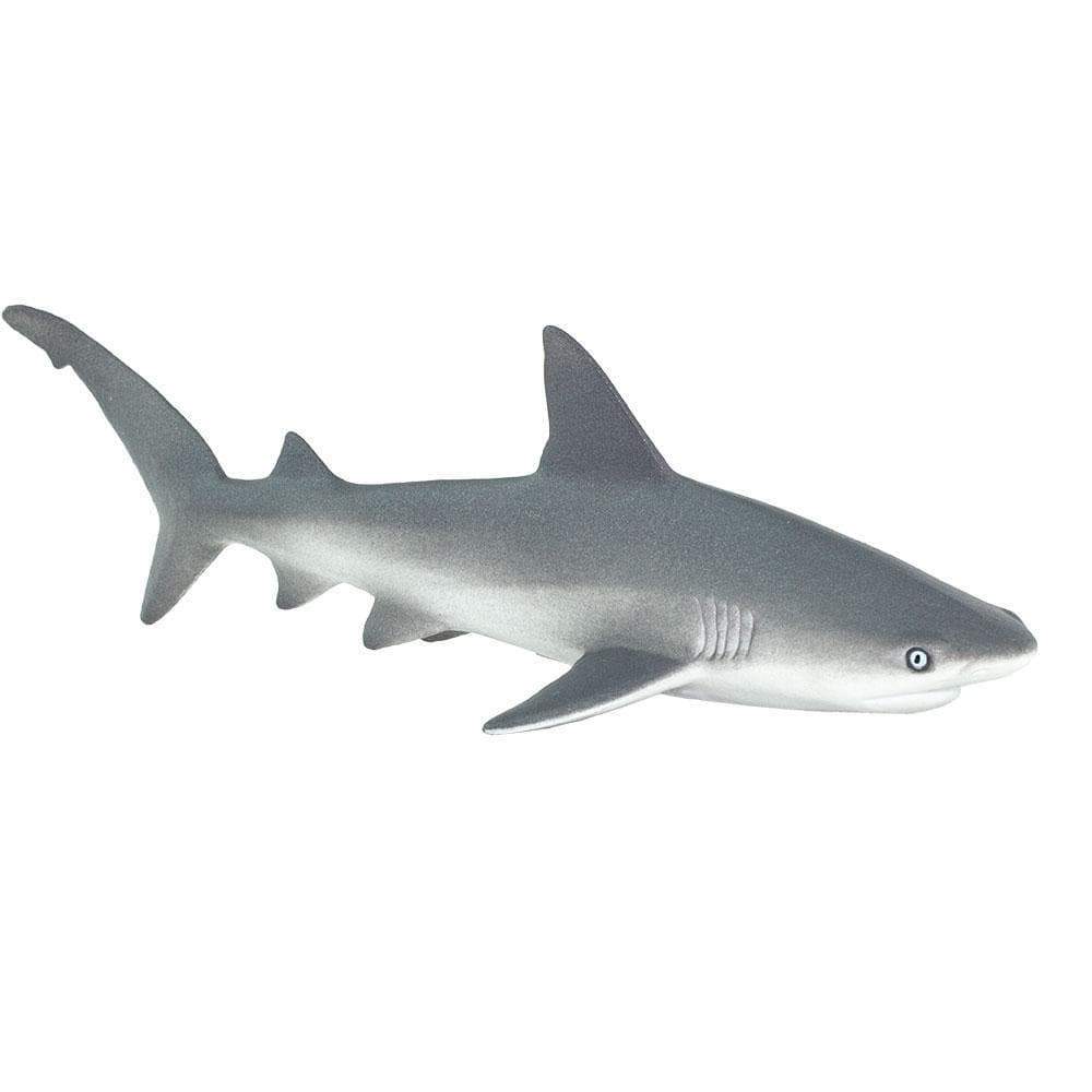 Gray Reef Shark Toy - Sea Life Toys by Safari Ltd.