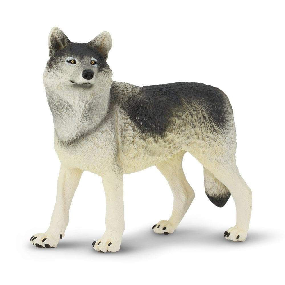 Gray Wolf Toy | Wildlife Animal Toys | Safari Ltd.