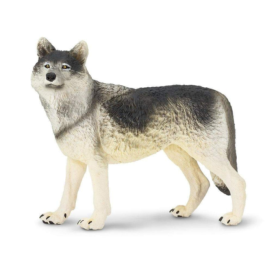 Gray Wolf Toy | Wildlife Animal Toys | Safari Ltd.