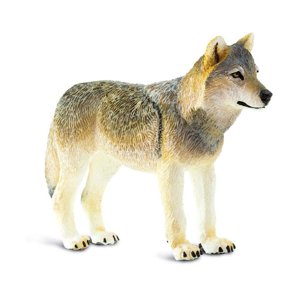 Gray Wolf Toy | Wildlife Animal Toys | Safari Ltd.