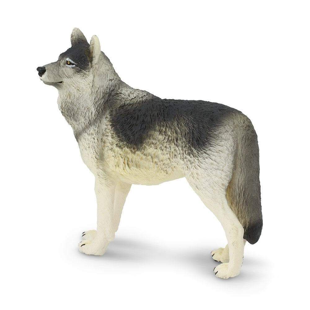 Gray Wolf Toy | Wildlife Animal Toys | Safari Ltd.