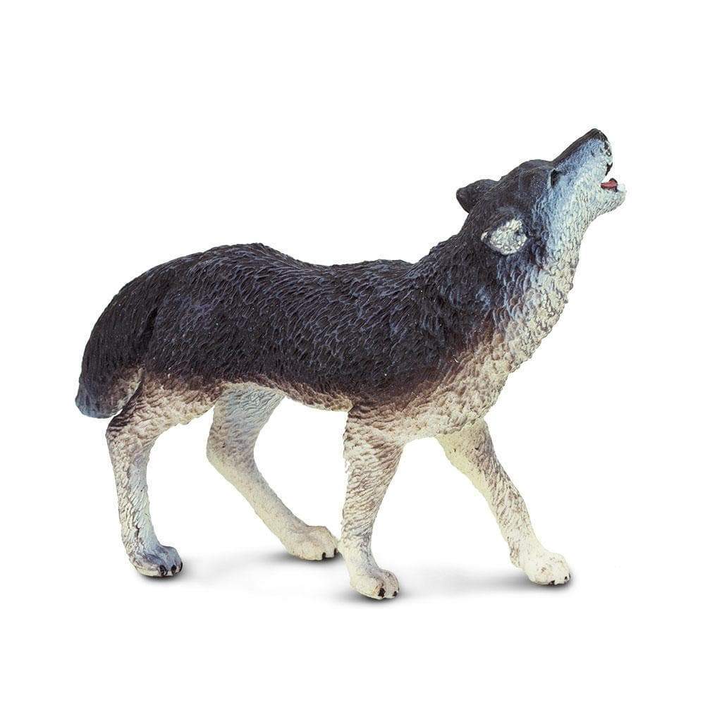 Gray Wolf Toy | Wildlife Animal Toys | Safari Ltd.